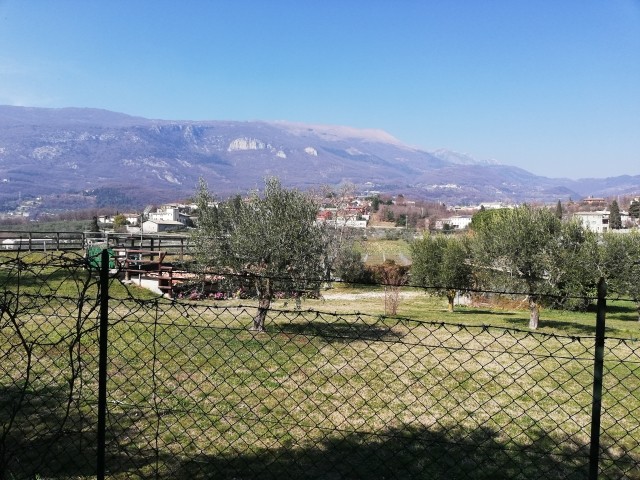 Blick aus unserem Olivenhain zum Nachbarn