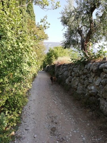 Wanderwege direkt vor dem Haus