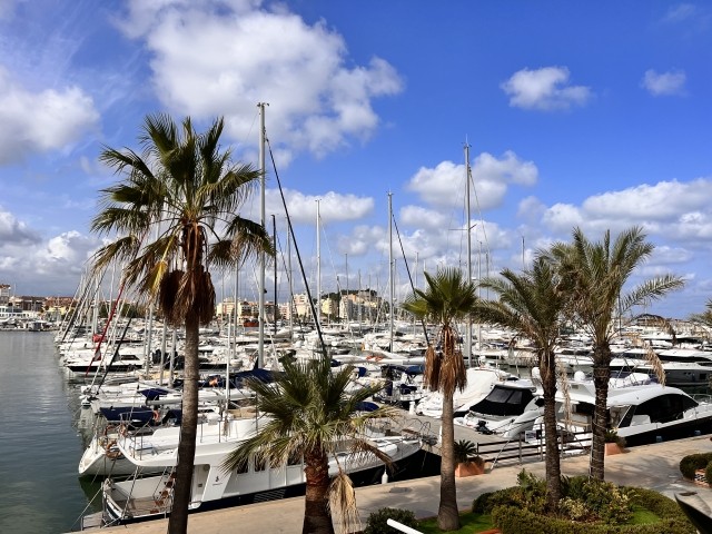 Der Hafen von DENIA