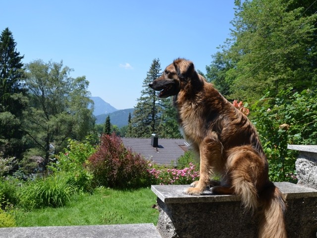 Am Hauseingang