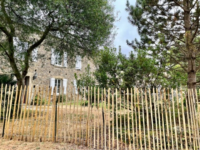 Vorgarten