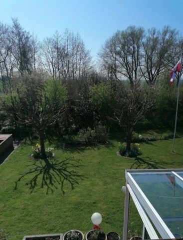 Blick in den gepflegten Garten