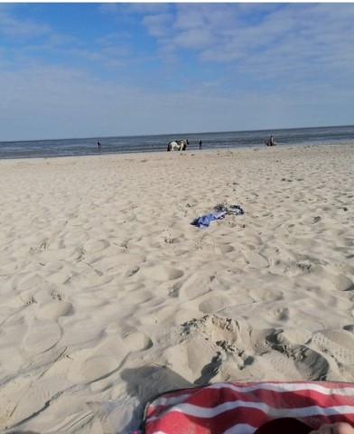 Strandtag am Hundestrand 
