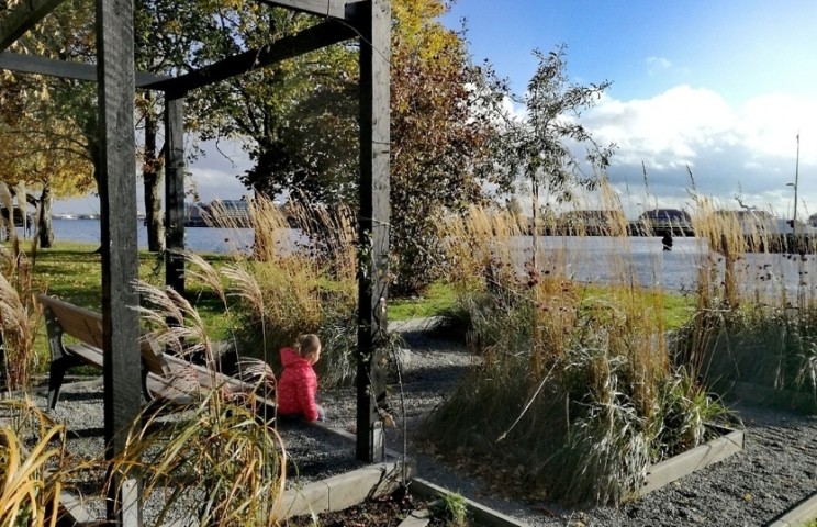Kleine Gärten in Wilhelmshaven 