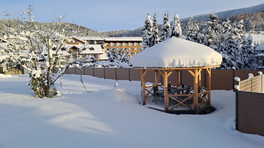 Garten  Winter 