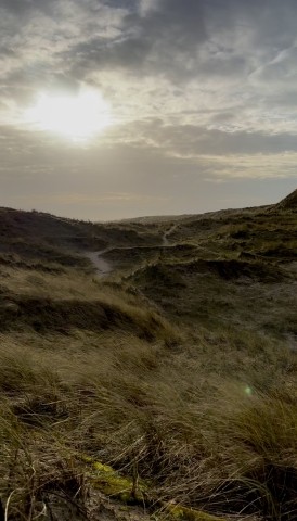 Dünen Spaziergang 
