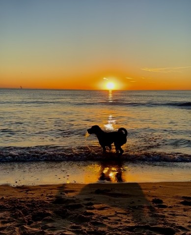 Am Strand Sonnenuntergang