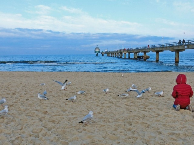 Strand Zimmowitz