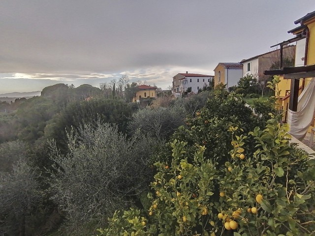 Panorama 