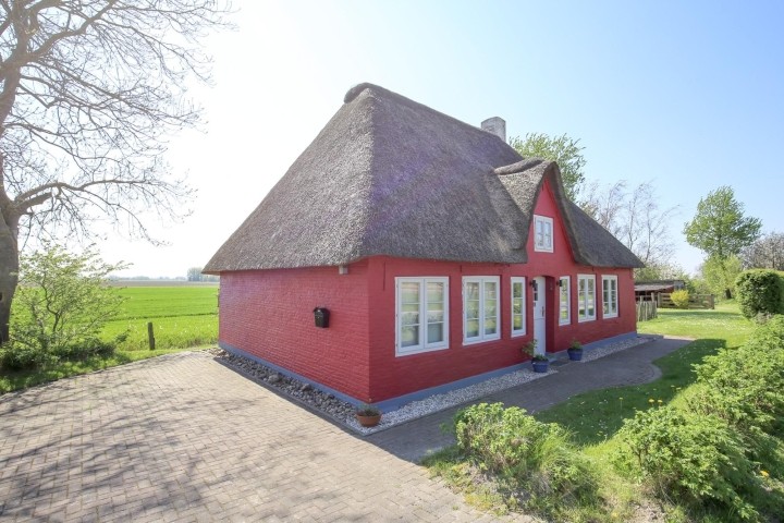 Reethus Koldenbüttel - Traumhaftes Reetdachhaus in idyllischer Alleinlage 