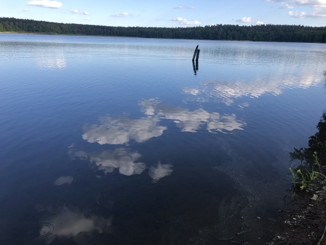Langhagensee
