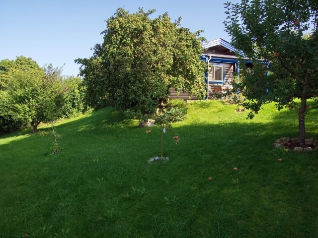 Komplett eingezäunter Garten