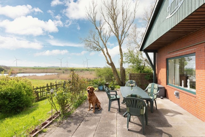 Terrasse zum Entspannen mit Hunden