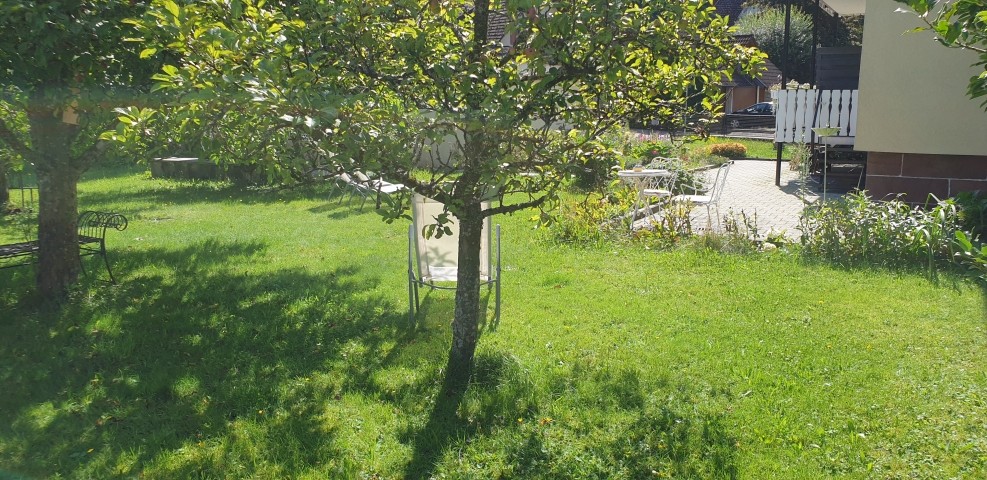 Garten (Teilansicht)