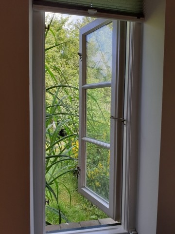 Blick aus dem Bad