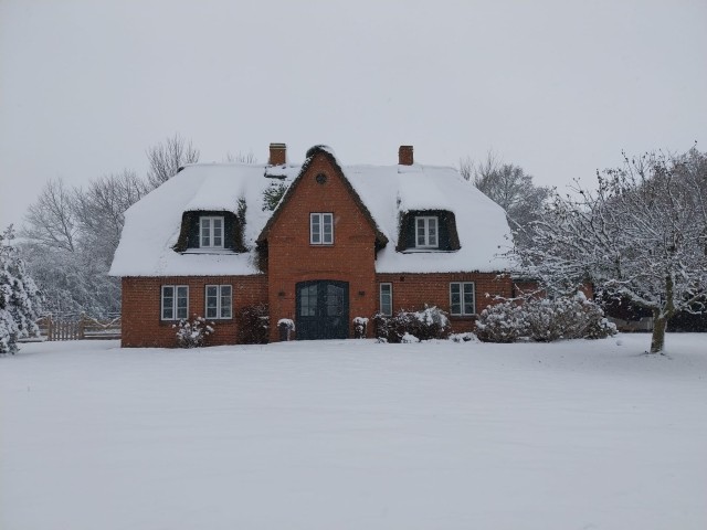 Schnee- gibt es bei uns nicht so häufig