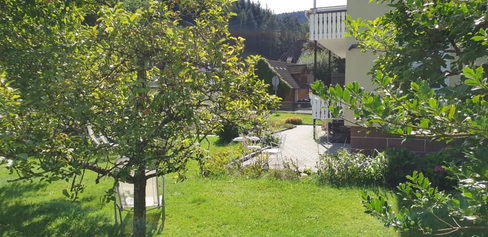 Garten / Ausschnitt
