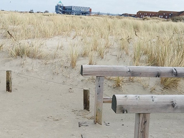 Dünen bestimmen den Strand
