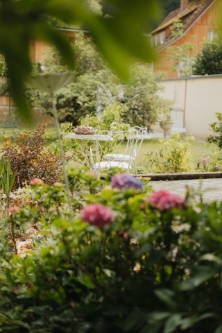 Garten im Sommer