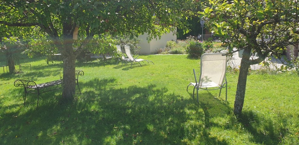 Garten im Sommer