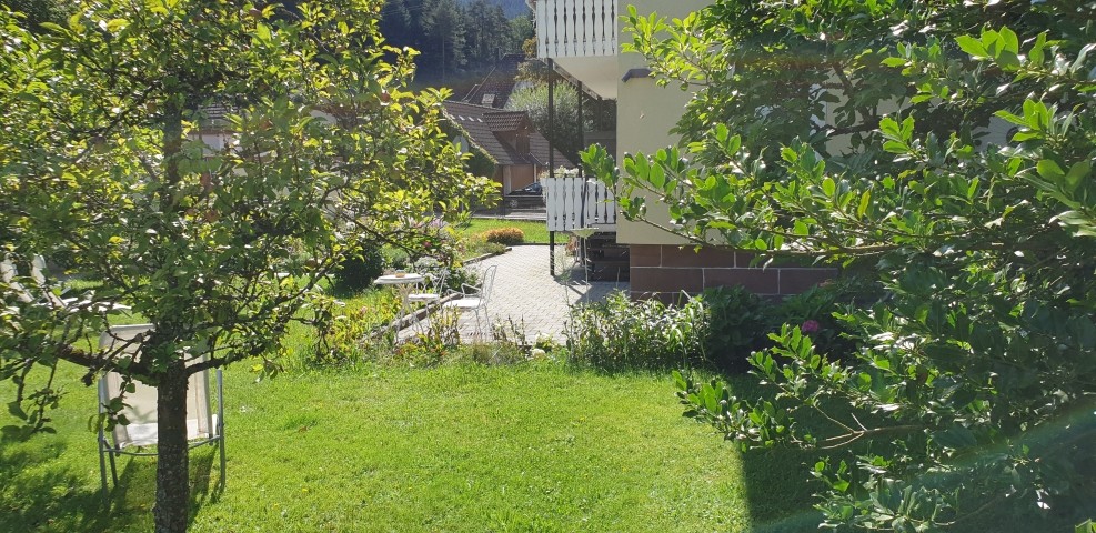 Garten im Sommer
