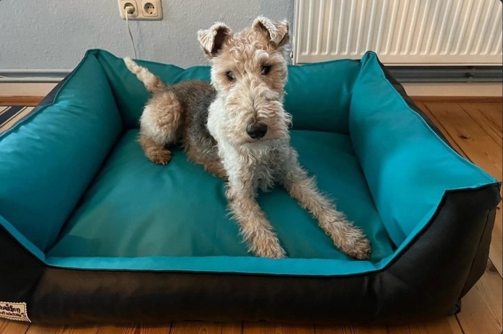 Hundebett