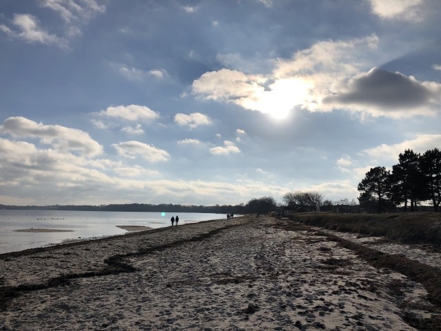 Holnis Strand