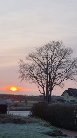 Ausblick von dem Wohnraum u. Terrasse 