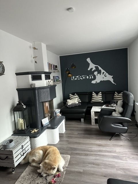gemütliches Wohnzimmer mit Gaskamin