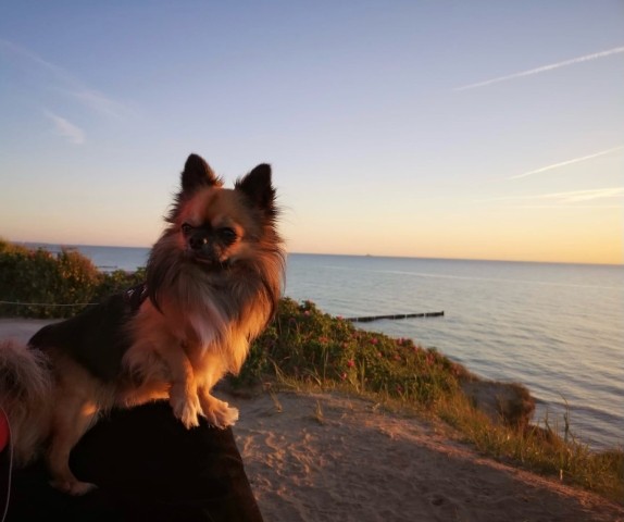 Auf der Steiküste von Ahrenshoop in der Nähe vom Bunker
