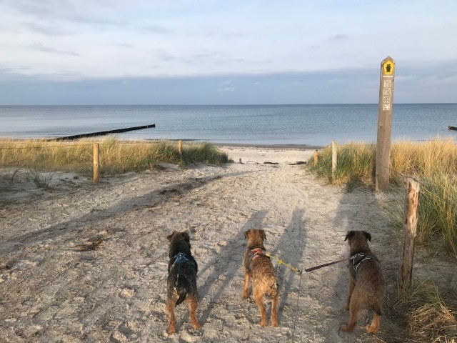 Strandzugang