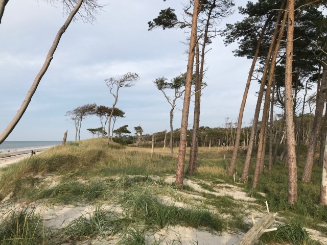 Weststrand