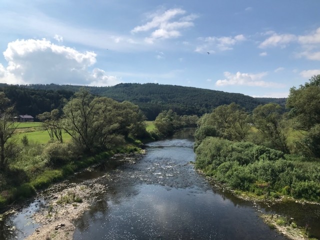 Ederblick
