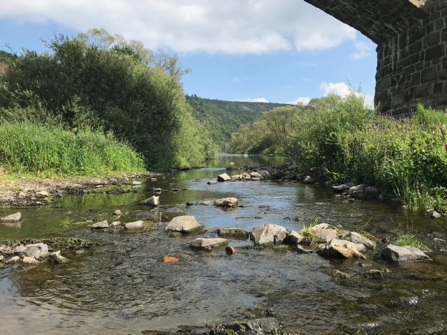Flußbett der Eder