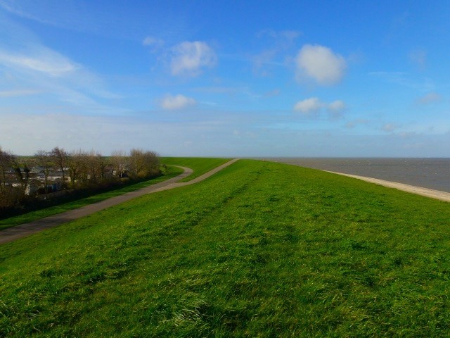 Deichkrone
