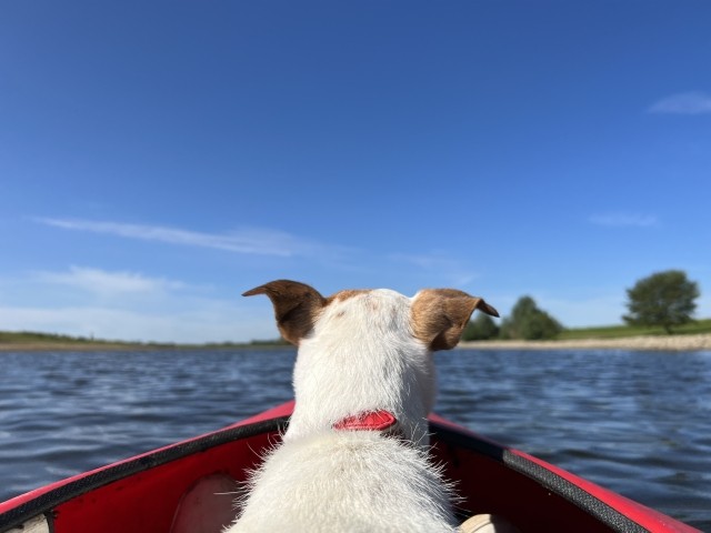 Kajaktour mit Hund