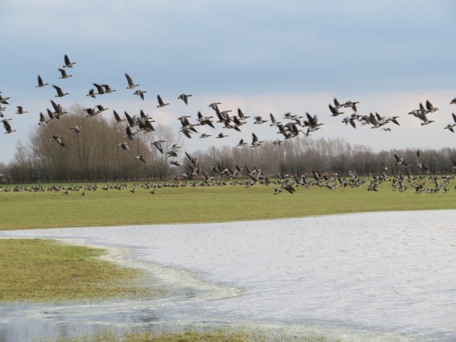 Toll für Naturliebhaber