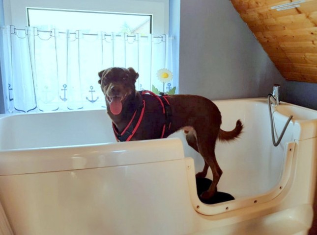 Hauswirtschaftsraum Hundebadewanne EG