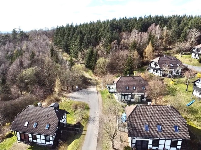 Blick vom Haus zum Waldzugang