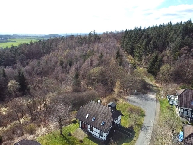 Nur wenige Meter bis in den Wald