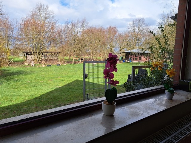 Blick aus Esszimmer