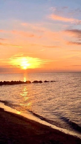 Hundestrand 