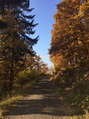 Herbst