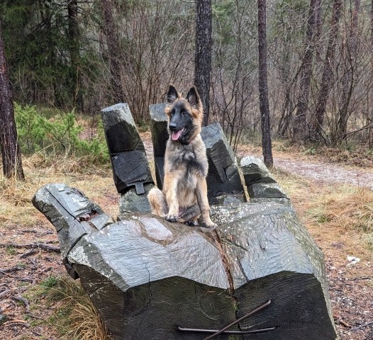 Wanderweg "LedroLandArt"