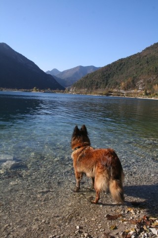 Hunde herzlich willkommen