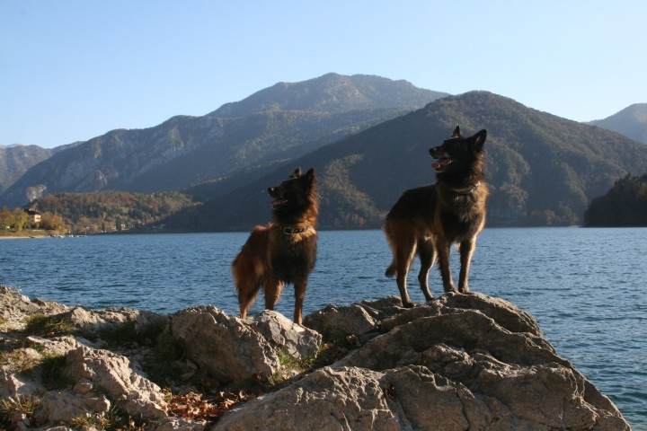 Ledrosee - herrlich für Urlaub mit dem Hund 
