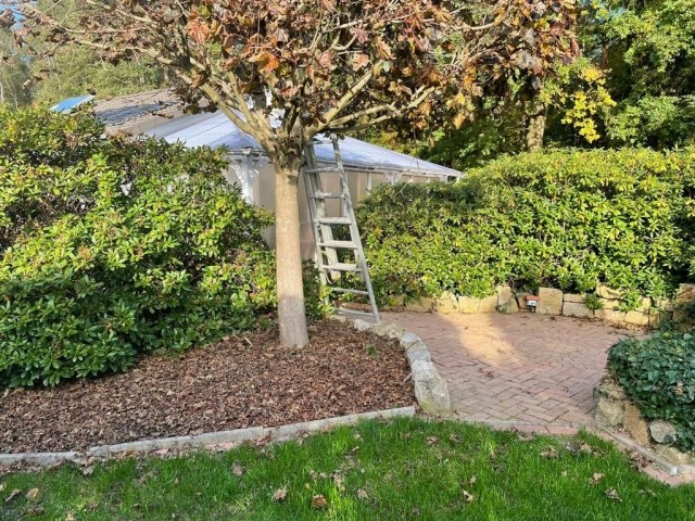 Garten