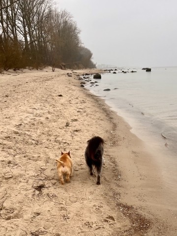 tolle Strände