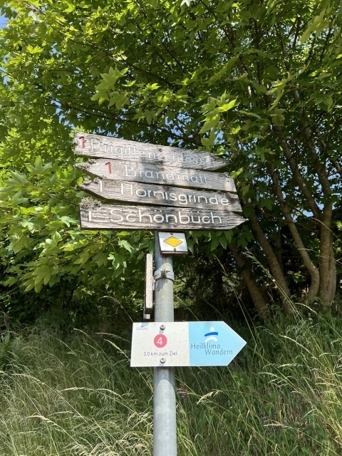 Direkt von der Unterkunft gehen viele tolle Wanderwege ab.