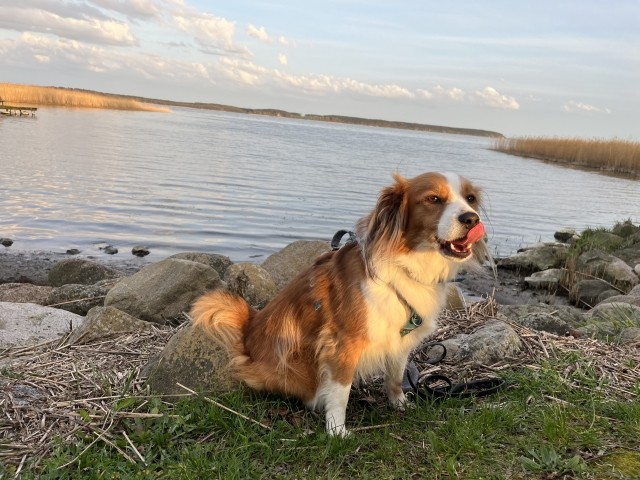 Unser Tobi ?
